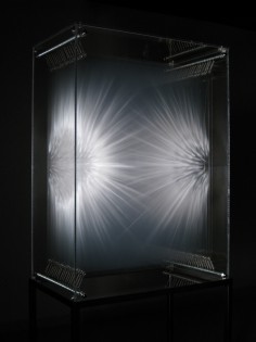 DAVID SPRIGGS 4