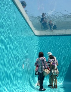 LEANDRO ERLICH555444