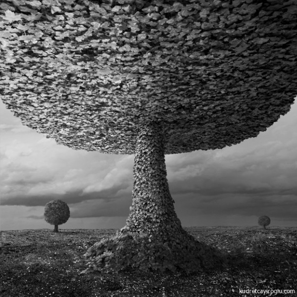 Dariusz Klimczak 8