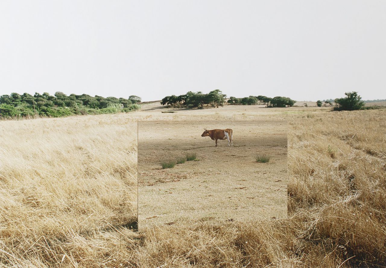 ANDREA GALVANI 33