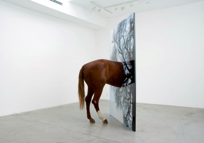 Todd Gray