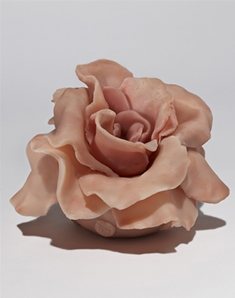 RACHEL FEINSTEIN 44