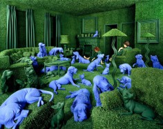 SANDY SKOGLUND 8