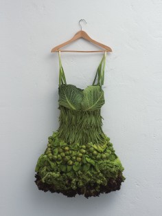 SARAH ILLENBERGER DRESS