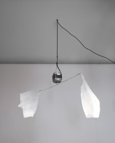 Monika Sosnowska Fly Repellent