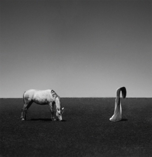 Noell S. Oszvald 22
