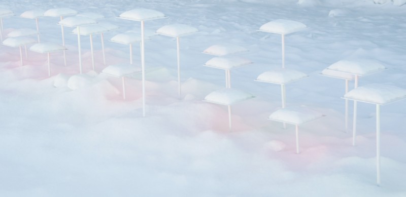 toshihiko shibuya  snow pallet