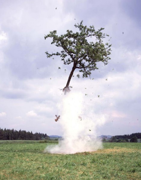 Michael Sailstrofer RocketTree