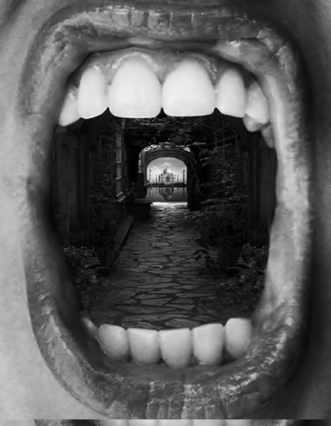 Thomas Barbey 8887