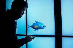 ryan habbyshaw carnival aquarium