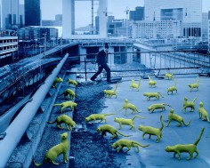 SANDY SKOGLUND 10