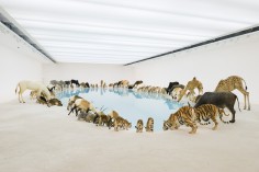 CAI GUO-QIANG