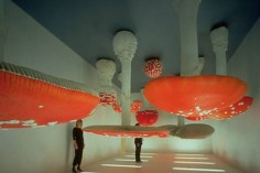 CARSTEN HOLLER2
