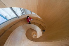 FRANK GEHRY