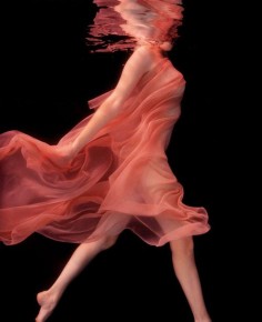 Howard Schatz