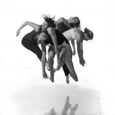 LOIS GREENFIELD