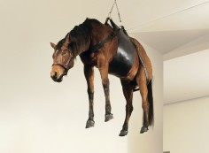 MAURIZIO CATTELAN 366