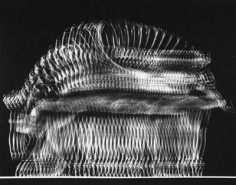 NORMAN MCLAREN