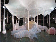 ERNESTO NETO