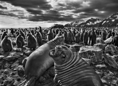 SEBASTIAO SALGADO