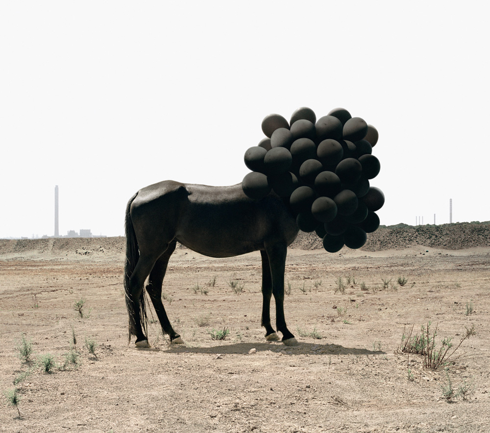 ANDREA GALVANI