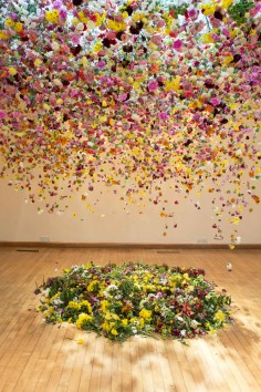 Rebecca Louise Law  The Hated Flower