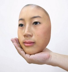 luisa whitton documents the japanese humanoid robotics