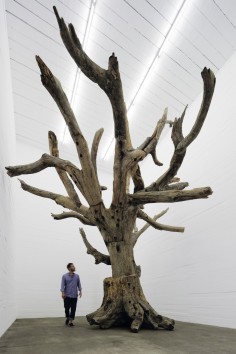 Ai Wei Wei TreeBoros