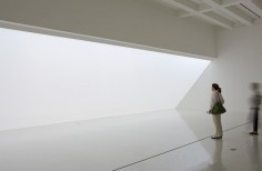 Robert Irwin