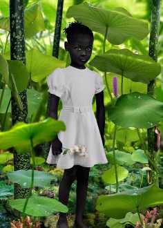 Ruud Van Empel 8888