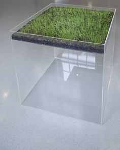 HANS HAACKE Grass Cube