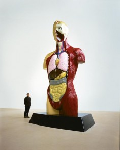 Damien Hirst  Hymn