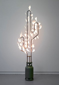 Marc Bijl  Burning Cactus
