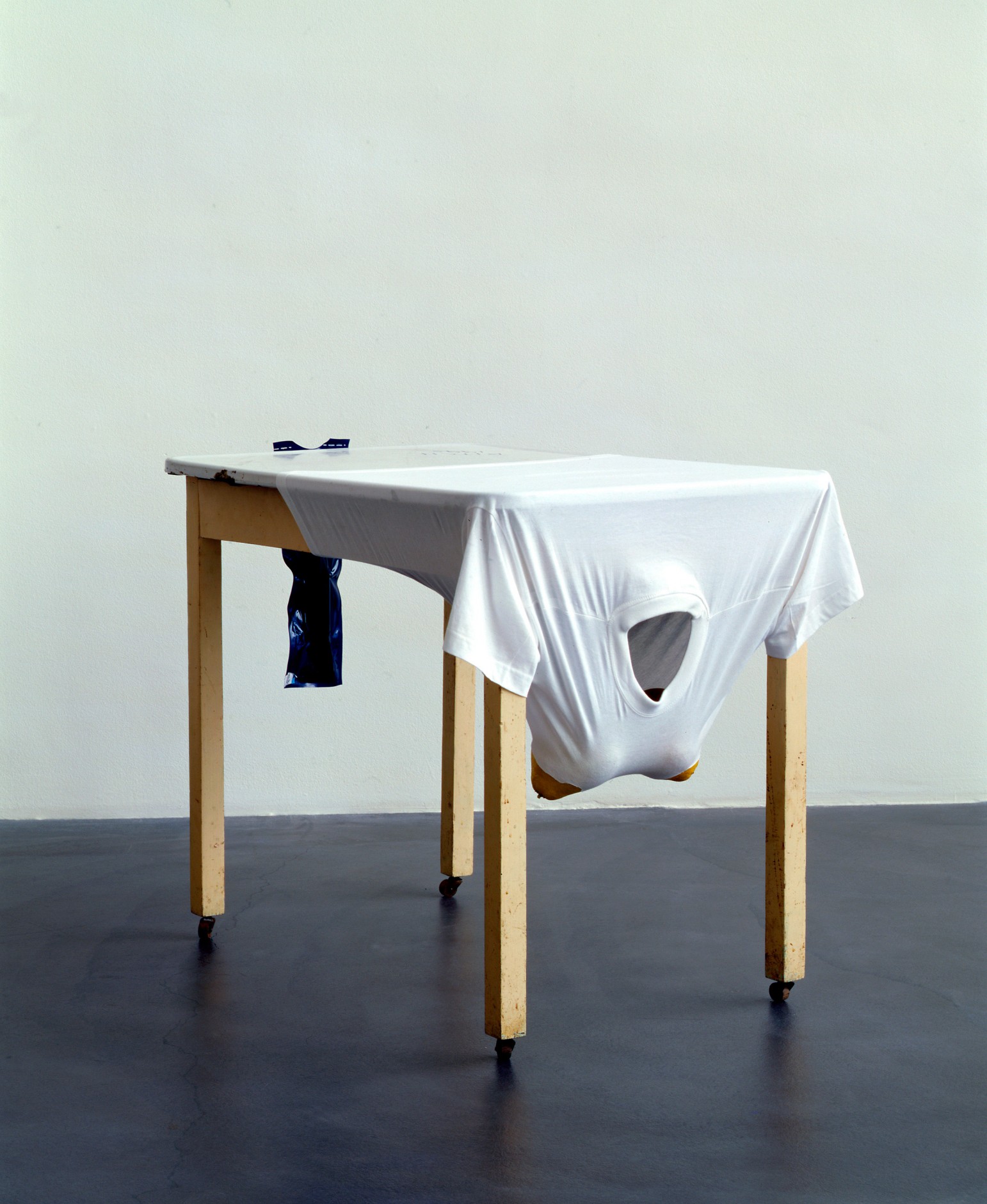 Sarah Lucas  Bitch