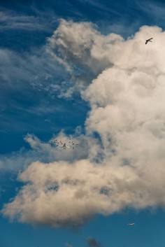 Alva Bernadine  clouds