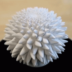 John Edmark Blooming Zoetrope Sculptures