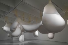 Ernesto Neto  The Dangerous Logic of Wooing