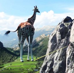 Nicolas Deveaux  girafe-slakeline
