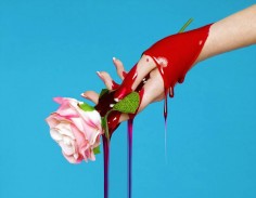 Petrina Hicks   Odd Portraits