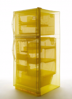 do ho suh   specimen series refrigerator copy