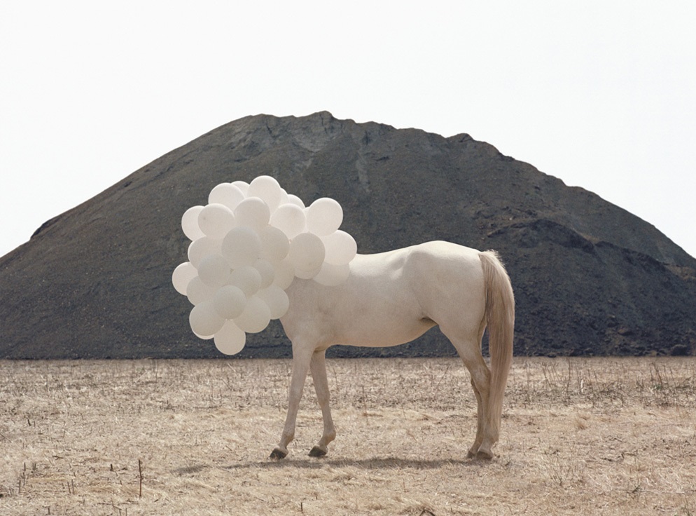 ANDREA GALVANI 2