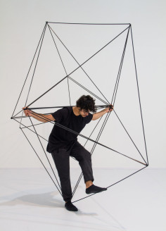 Ludmila Rodrigues Polytope
