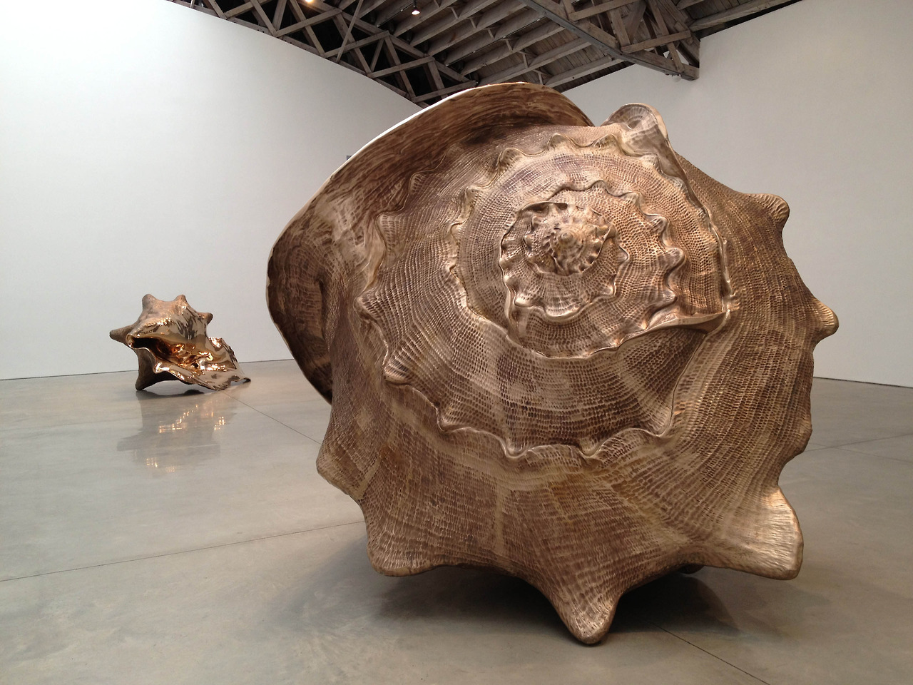 Marc Quinn  Seashell Sculptures