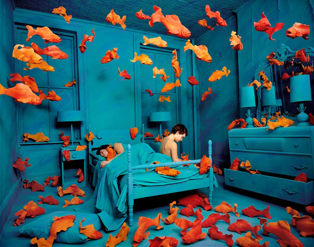 SANDY SKOGLUND – highlike